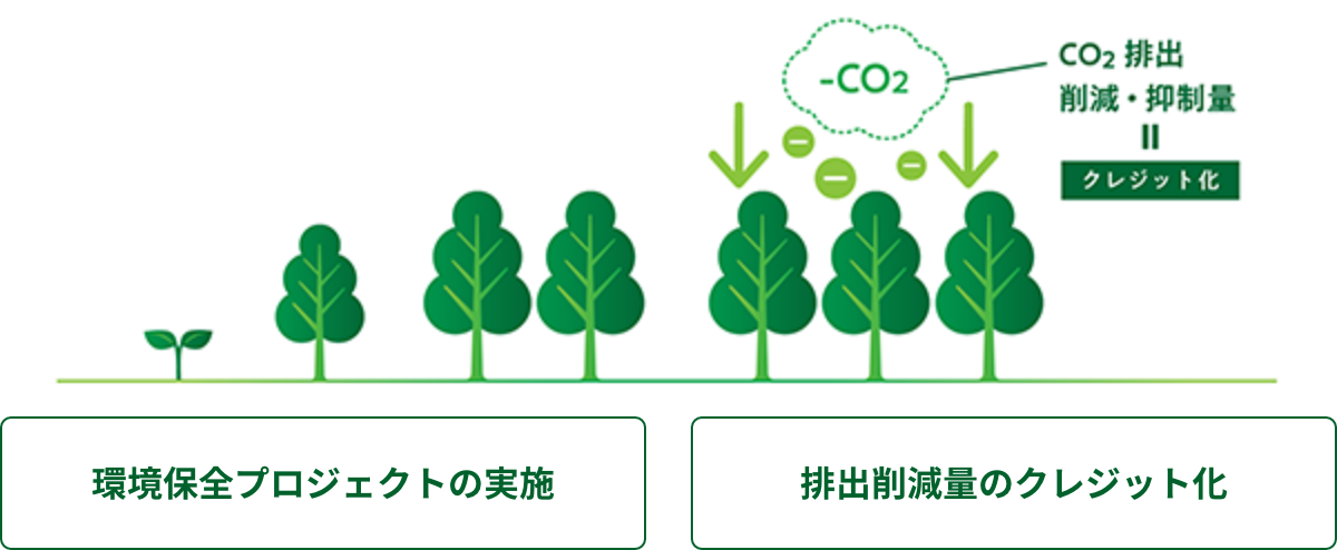 環境保全プロジェクト